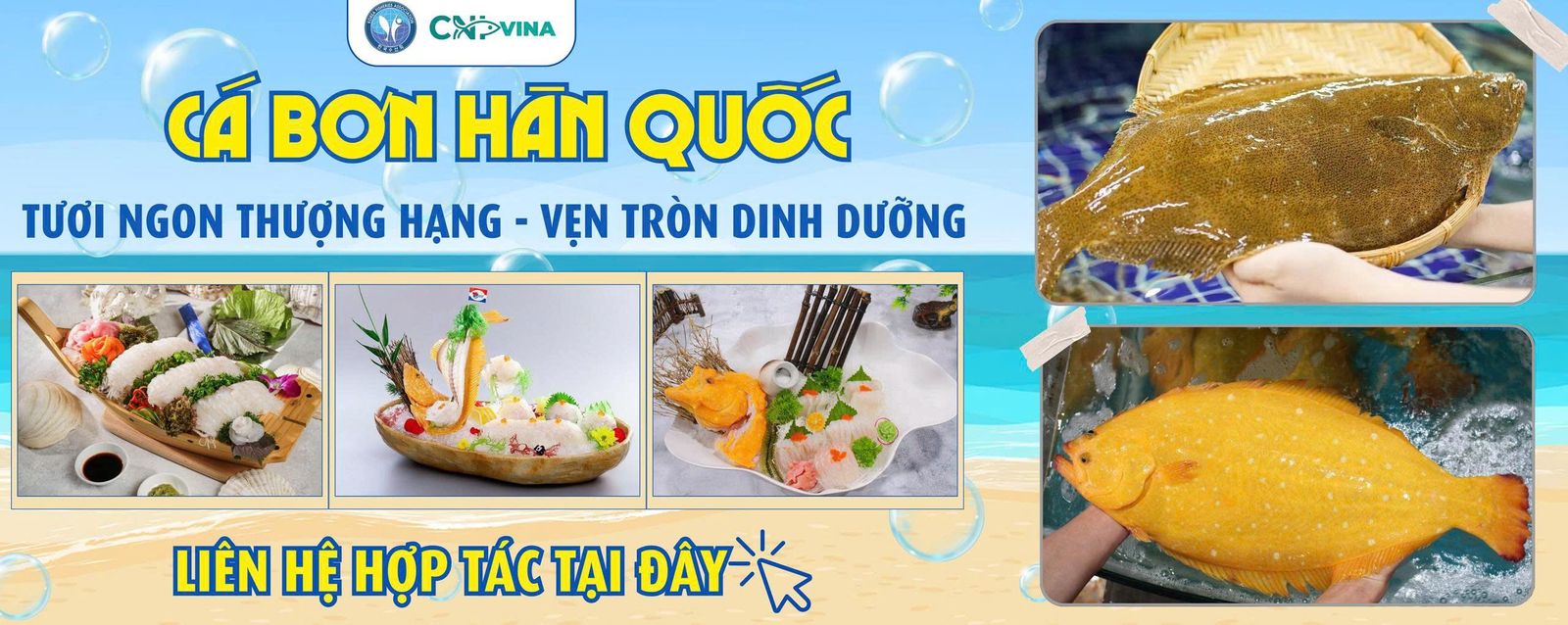 cá bơn, cá bơn nướng, cá bơn sashimi, cá bơn phi lê, rong biển, ghẹ sữa, snack mực, snack rong biển, chips rong biển, mỳ sợi, cá minh thái, canh chả cá jeju, lươn biển, cá hố đông lạnh, rong biển nướng, thịt càng cua tuyết