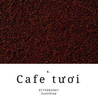 BỘT CAFE TƯƠI giá sỉ