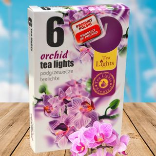 Hộp 6 nến thơm tinh dầu Tealight Admit Orchid QT026069 - lan hồ điệp giá sỉ