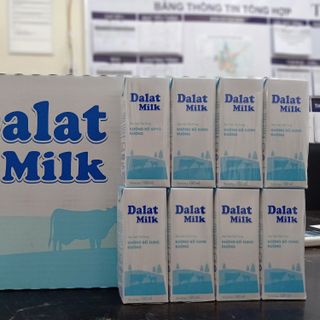 Sữa tươi không đường 180ml của Đà lạt milk giá sỉ