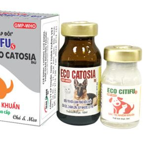 Thuốc thú y: ECO CITIFU S & ECO CATOSIA ỊN giá sỉ