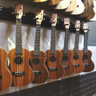 Đàn ukulele concert giá sỉ