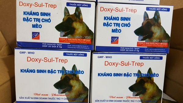 Kháng sinh đặc trị chó bỏ ăn - tiêu ra máu Doxy-Sul-Strep