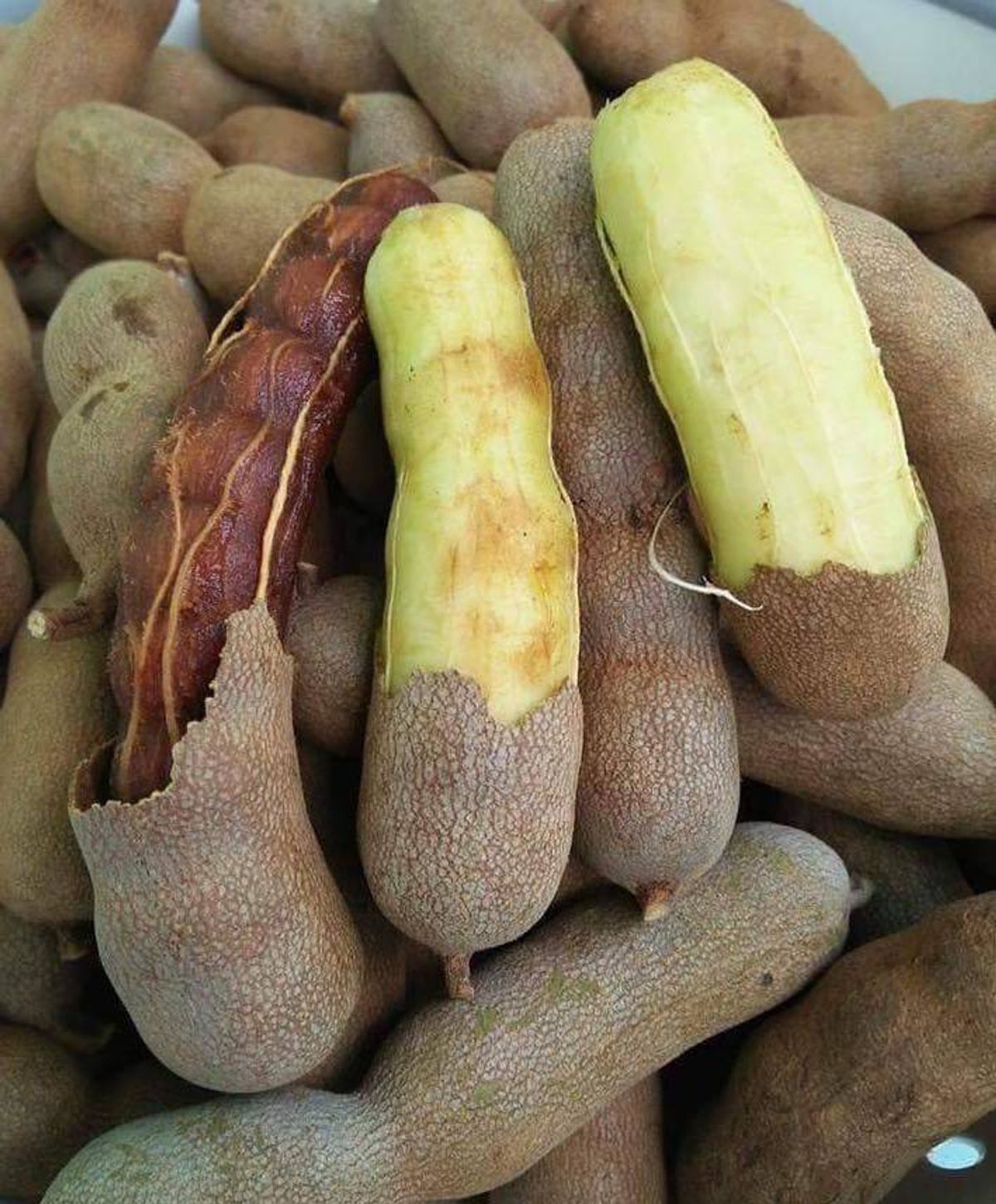 ME DỐT BỘT KHÔ NGUYÊN VỎ GIỮ NGUYÊN HƯƠNG VỊ TRUYỀN THỐNG