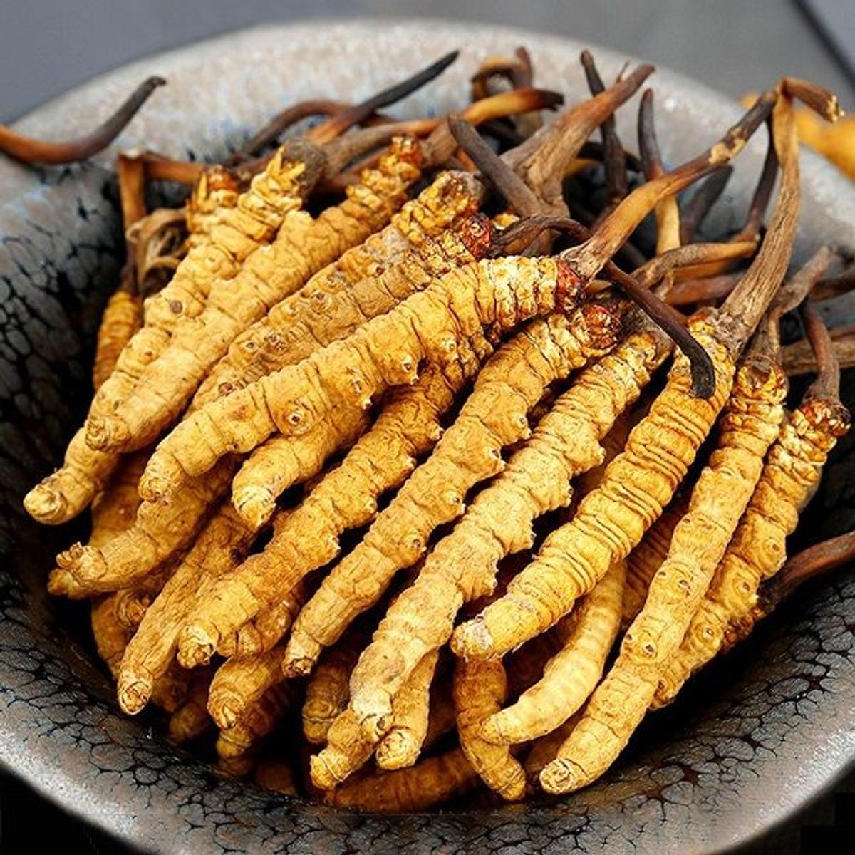 Đông trùng hạ thảo Tây Tạng thiên nhiên nguyên con 10g loại trung 30-40 con Đông trùng hạ thảo Tây Tạng thiên nhiên nguyên con 10g loại trung 30-40 con