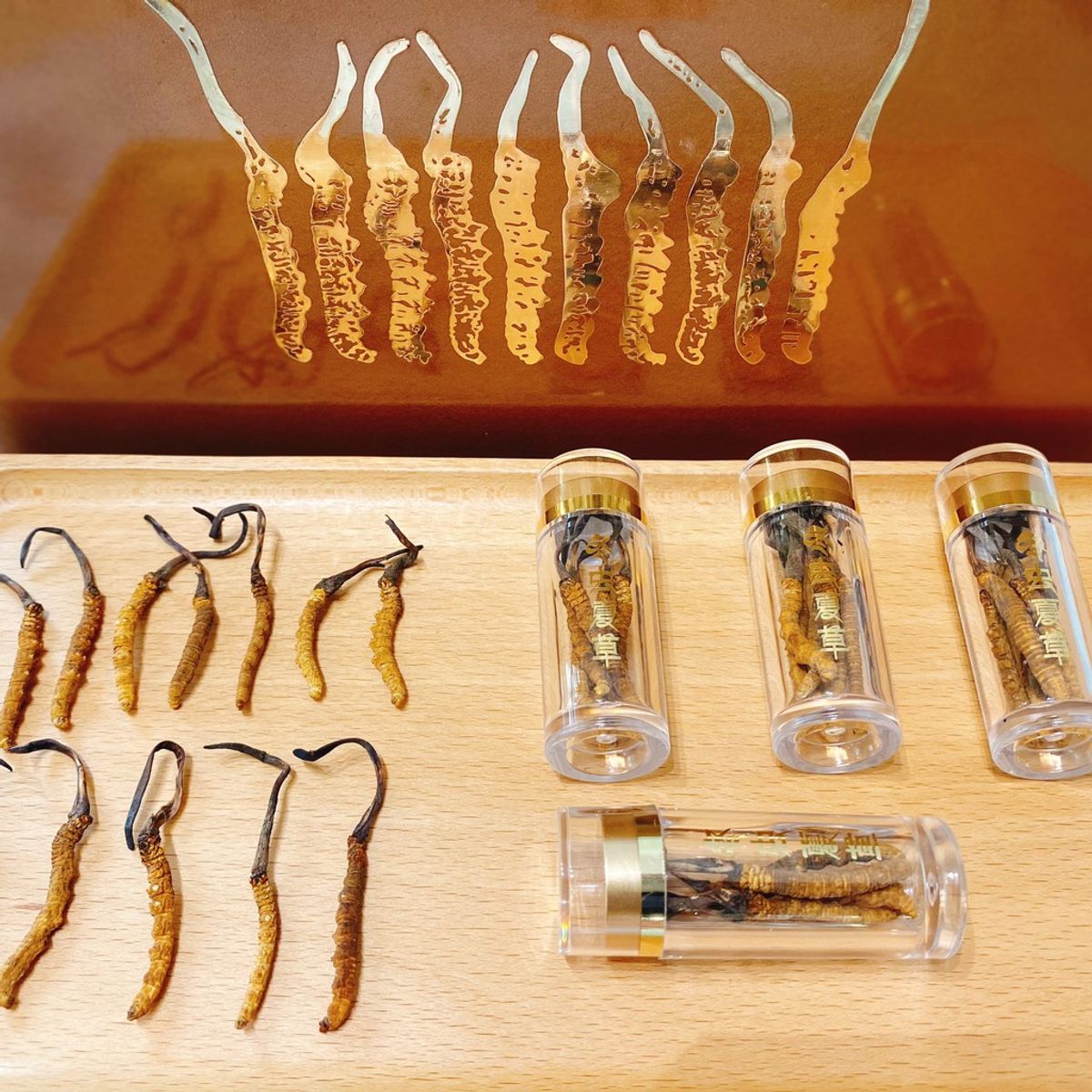 Đông trùng hạ thảo Tây Tạng thiên nhiên nguyên con 10g loại trung 30-40 con Đông trùng hạ thảo Tây Tạng thiên nhiên nguyên con 10g loại trung 30-40 con