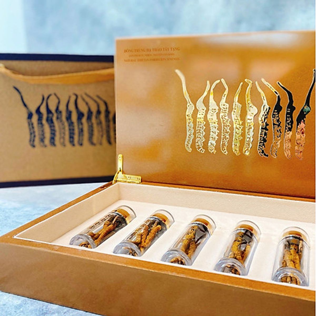 Đông trùng hạ thảo Tây Tạng thiên nhiên nguyên con 10g loại trung 30-40 con Đông trùng hạ thảo Tây Tạng thiên nhiên nguyên con 10g loại trung 30-40 con
