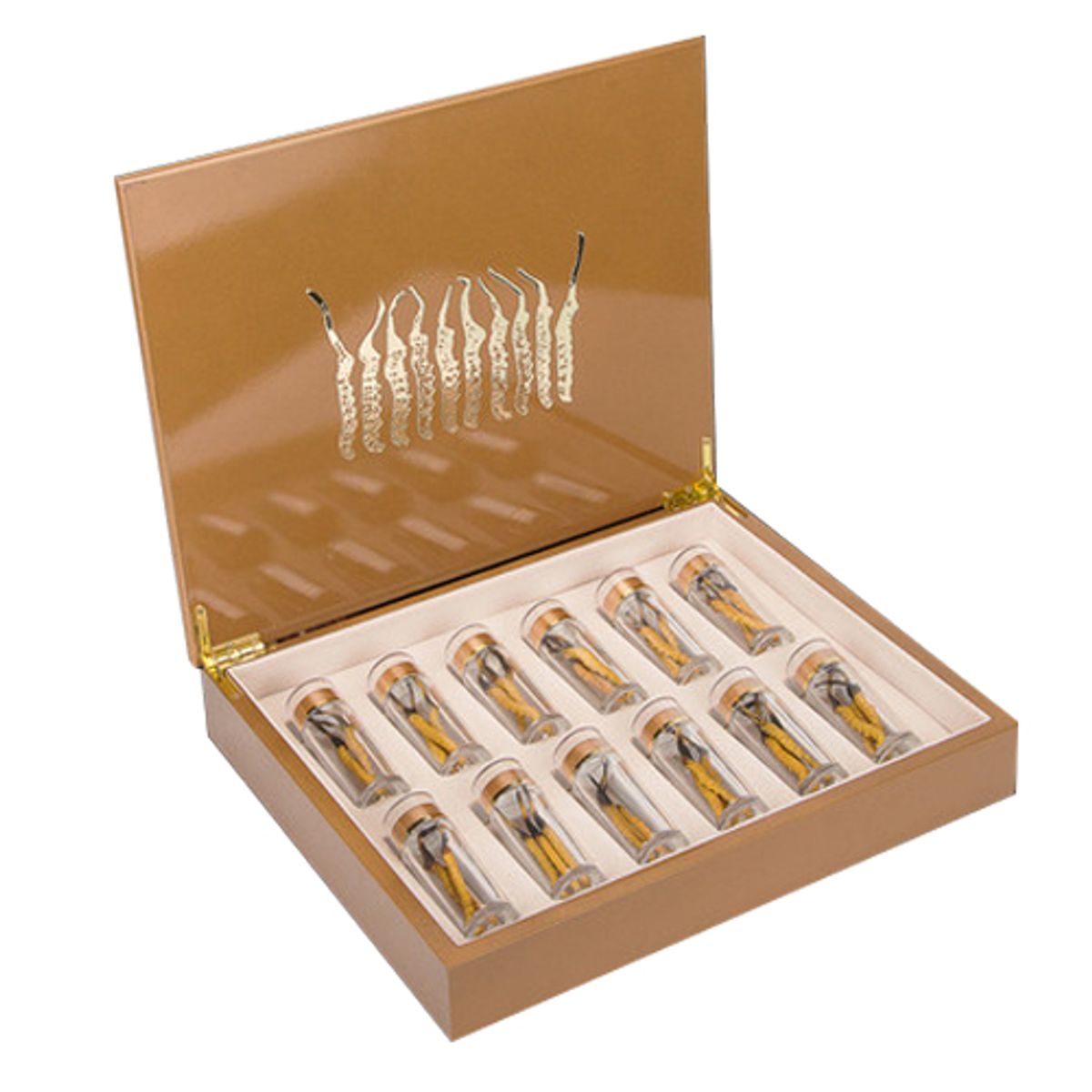 Đông trùng hạ thảo Tây Tạng thiên nhiên nguyên con 10g loại trung 30-40 con Đông trùng hạ thảo Tây Tạng thiên nhiên nguyên con 10g loại trung 30-40 con