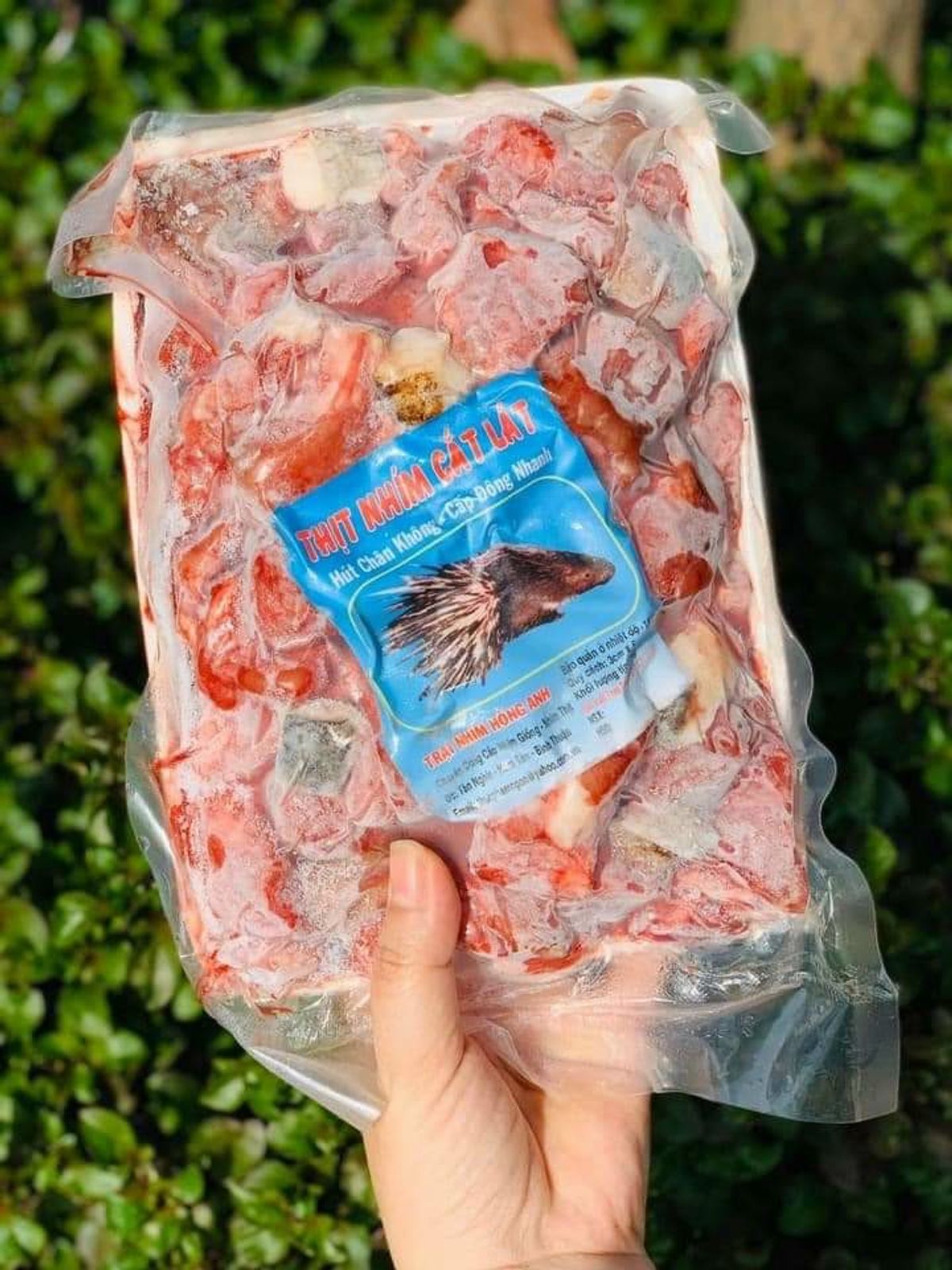 Thịt nhím cắt lát 1kg Thịt nhím cắt lát 1kg