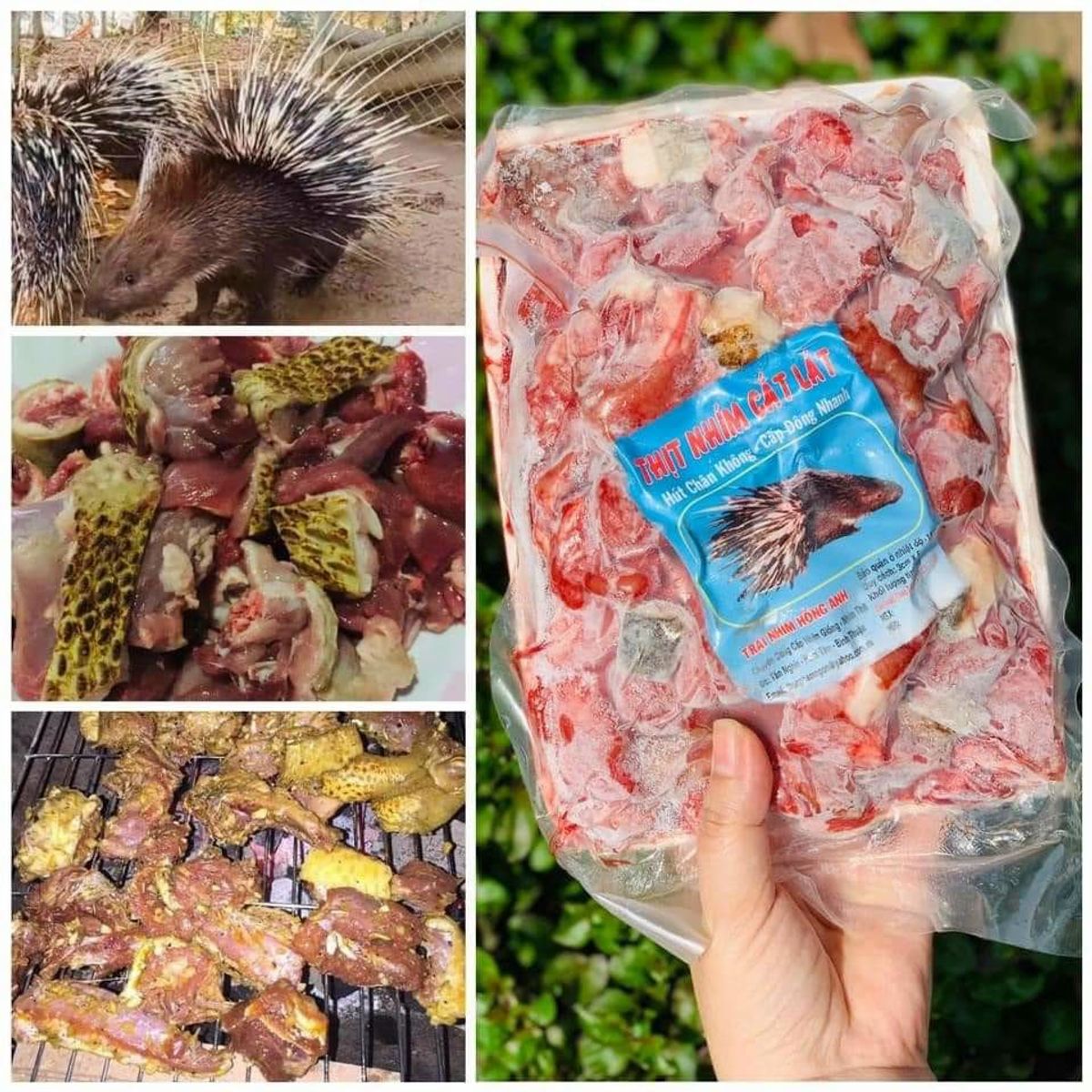 Thịt nhím cắt lát 1kg Thịt nhím cắt lát 1kg