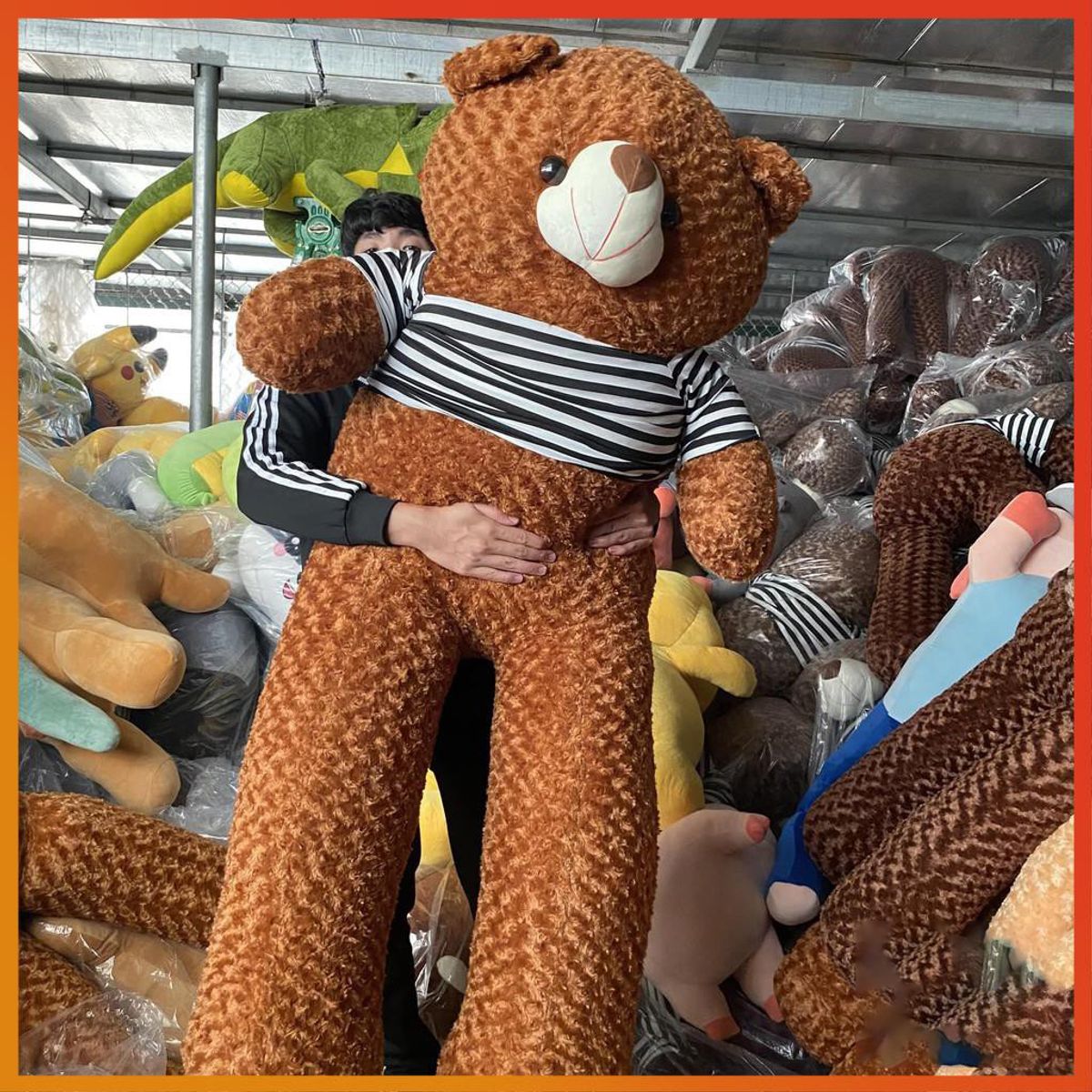 Gấu bông Teddy, gối ôm hình thú nhồi bông siêu to khổng lồ 95cm-1m8 Gấu bông Teddy, gối ôm hình thú nhồi bông siêu to khổng lồ 95cm-1m8