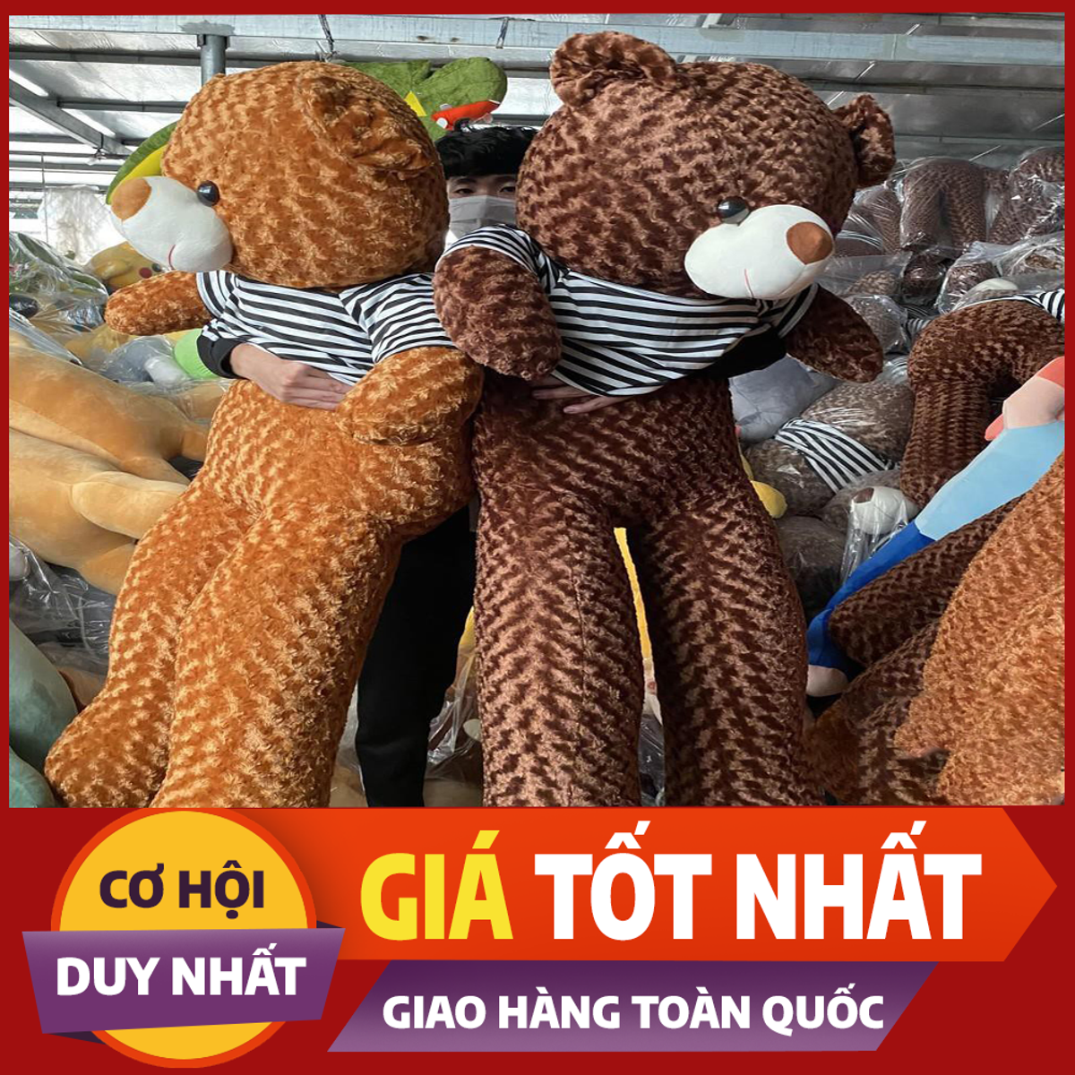 Gấu bông Teddy, gối ôm hình thú nhồi bông siêu to khổng lồ 95cm-1m8 Gấu bông Teddy, gối ôm hình thú nhồi bông siêu to khổng lồ 95cm-1m8