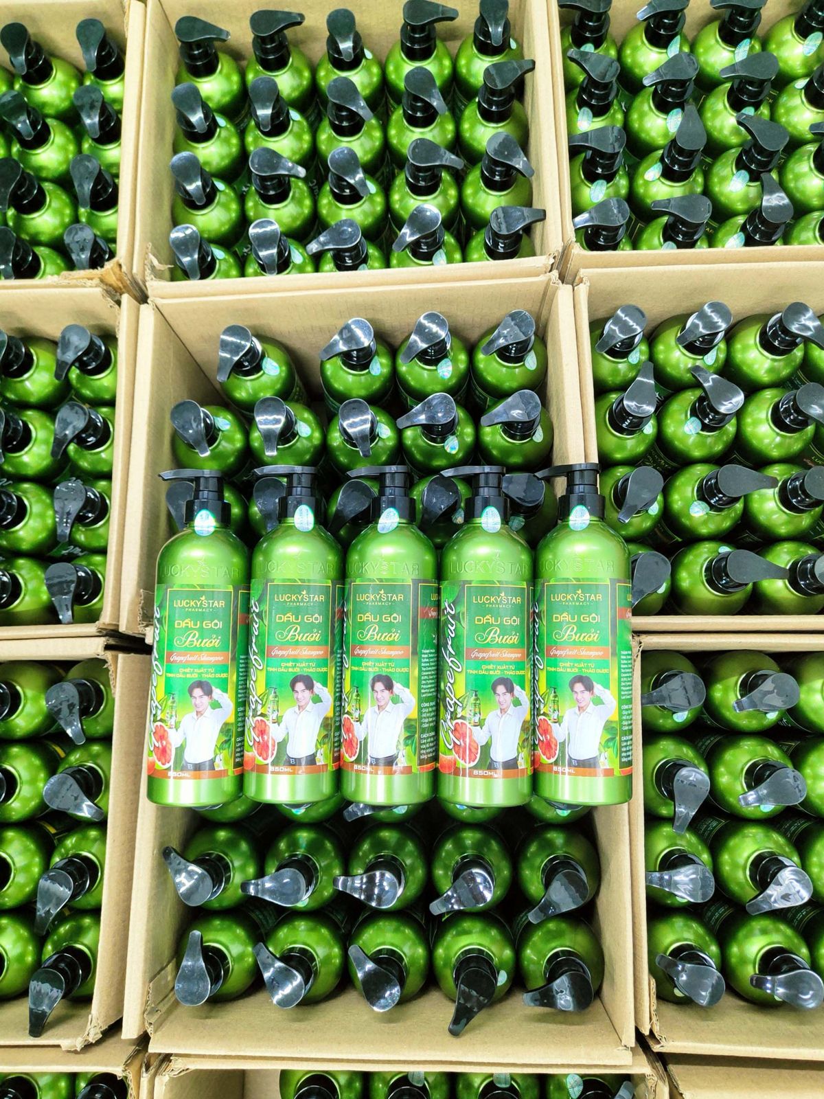 Combo Dầu Gội Và Kem Xả Bưởi Lucky Star 850ml Combo Dầu Gội Và Kem Xả Bưởi Lucky Star 850ml