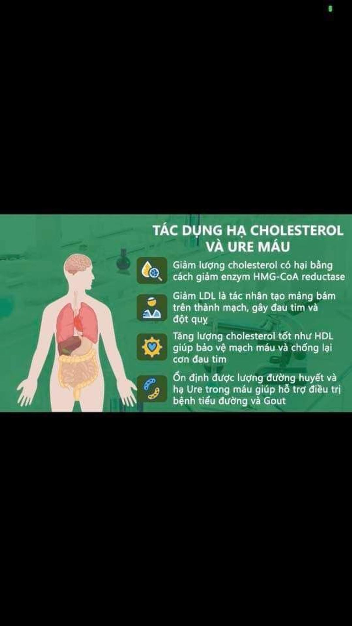 Trà Atiso túi lọc Vũ Ngân 🥰 NHẬP SỈ NGAY - LỜI TỪ 100K/KG NÀY! Đặc Sản Đà Lạt - Atiso nguyên chất, tốt cho sức khỏe: ngủ ngon, mát gan, đẹp da,...gói 200g/100 túi lọc Trà Atiso túi lọc Vũ Ngân 🥰 NHẬP SỈ NGAY - LỜI TỪ 100K/KG NÀY! Đặc Sản Đà Lạt - Atiso nguyên chất, tốt cho sức khỏe: ngủ ngon, mát gan, đẹp da,...gói 200g/100 túi lọc