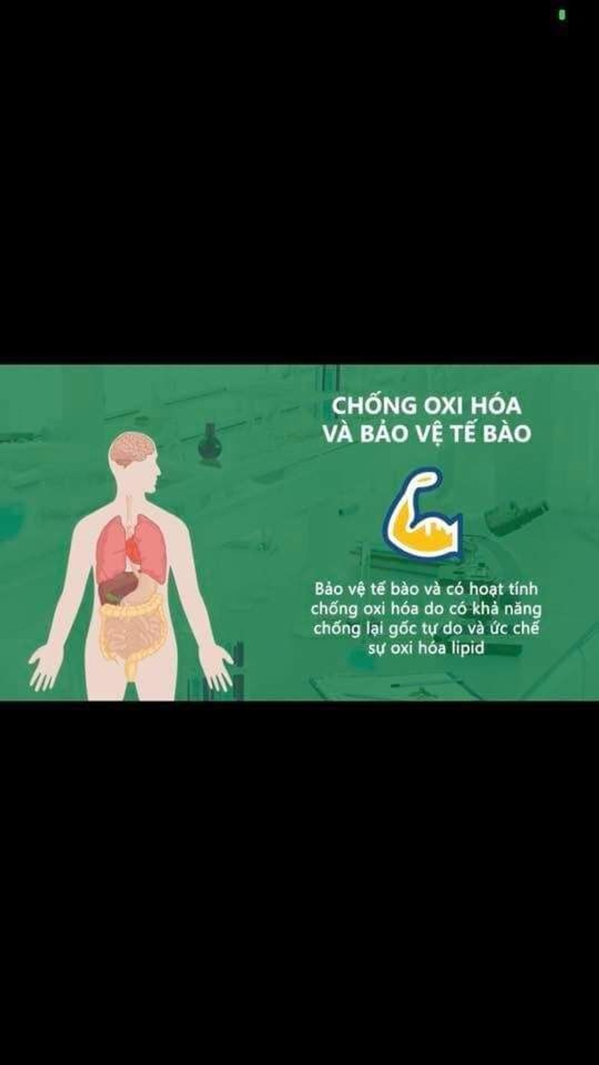Trà Atiso túi lọc Vũ Ngân 🥰 NHẬP SỈ NGAY - LỜI TỪ 100K/KG NÀY! Đặc Sản Đà Lạt - Atiso nguyên chất, tốt cho sức khỏe: ngủ ngon, mát gan, đẹp da,...gói 200g/100 túi lọc Trà Atiso túi lọc Vũ Ngân 🥰 NHẬP SỈ NGAY - LỜI TỪ 100K/KG NÀY! Đặc Sản Đà Lạt - Atiso nguyên chất, tốt cho sức khỏe: ngủ ngon, mát gan, đẹp da,...gói 200g/100 túi lọc
