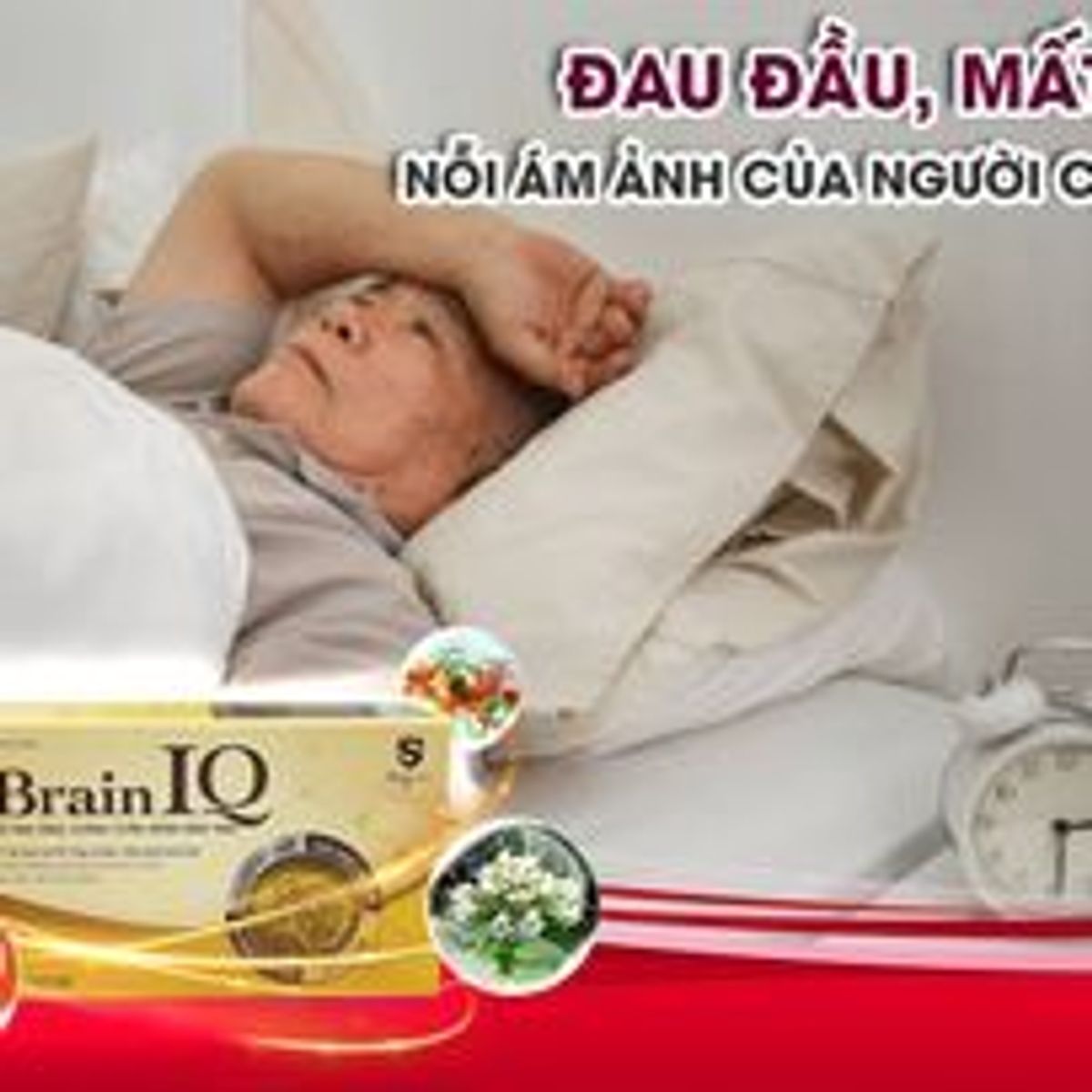 Viên Uống Bổ Não Brain IQ tăng cường tuần hoàn não, dưỡng tâm an thần giúp ngủ ngon cải thiện trí nhớ Viên Uống Bổ Não Brain IQ tăng cường tuần hoàn não, dưỡng tâm an thần giúp ngủ ngon cải thiện trí nhớ