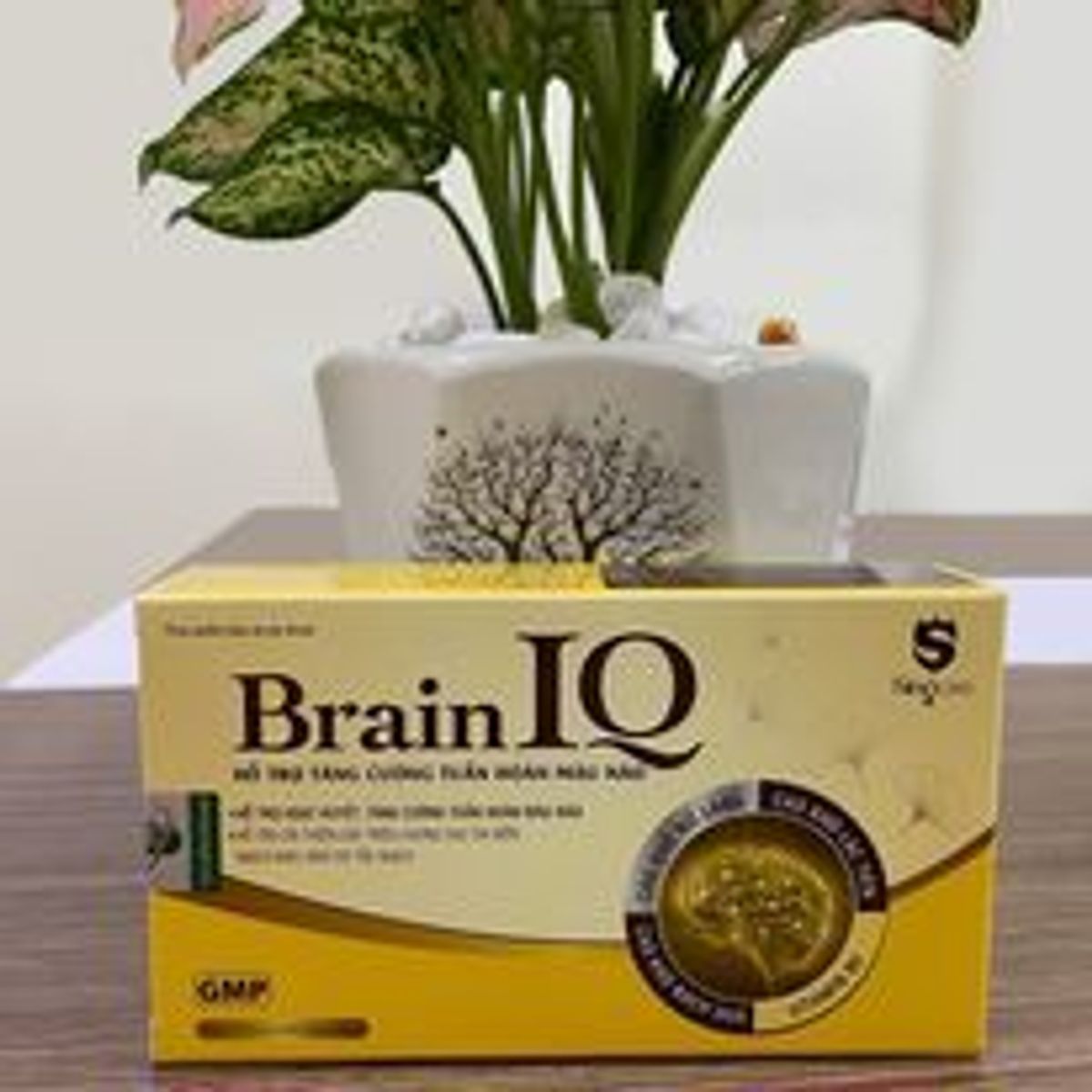 Viên Uống Bổ Não Brain IQ tăng cường tuần hoàn não, dưỡng tâm an thần giúp ngủ ngon cải thiện trí nhớ Viên Uống Bổ Não Brain IQ tăng cường tuần hoàn não, dưỡng tâm an thần giúp ngủ ngon cải thiện trí nhớ