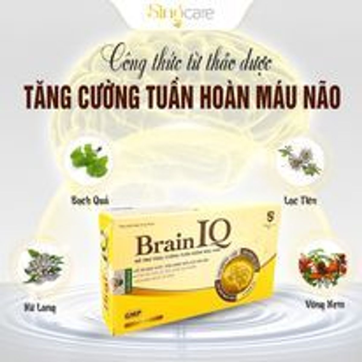 Viên Uống Bổ Não Brain IQ tăng cường tuần hoàn não, dưỡng tâm an thần giúp ngủ ngon cải thiện trí nhớ Viên Uống Bổ Não Brain IQ tăng cường tuần hoàn não, dưỡng tâm an thần giúp ngủ ngon cải thiện trí nhớ