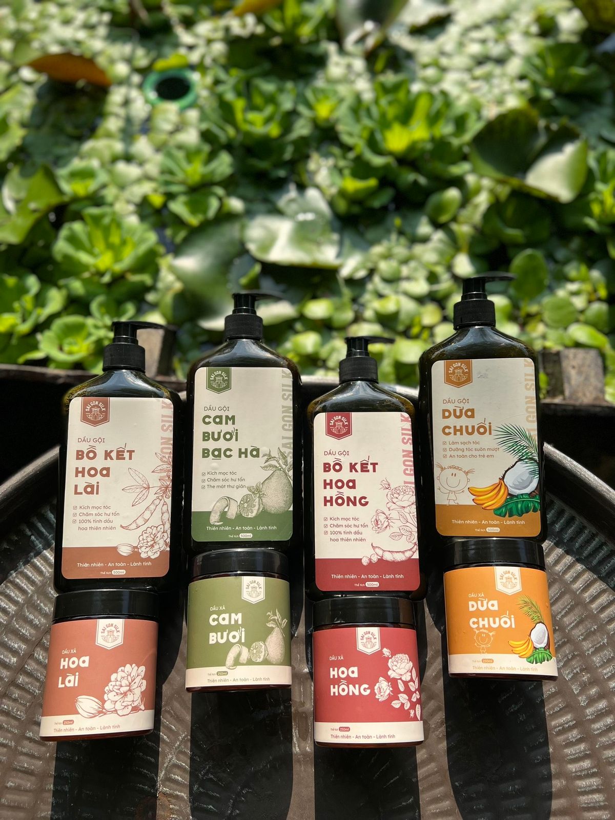 COMBO GỘI XẢ CAM BƯỞI BẠC HÀ COMBO GỘI XẢ CAM BƯỞI BẠC HÀ