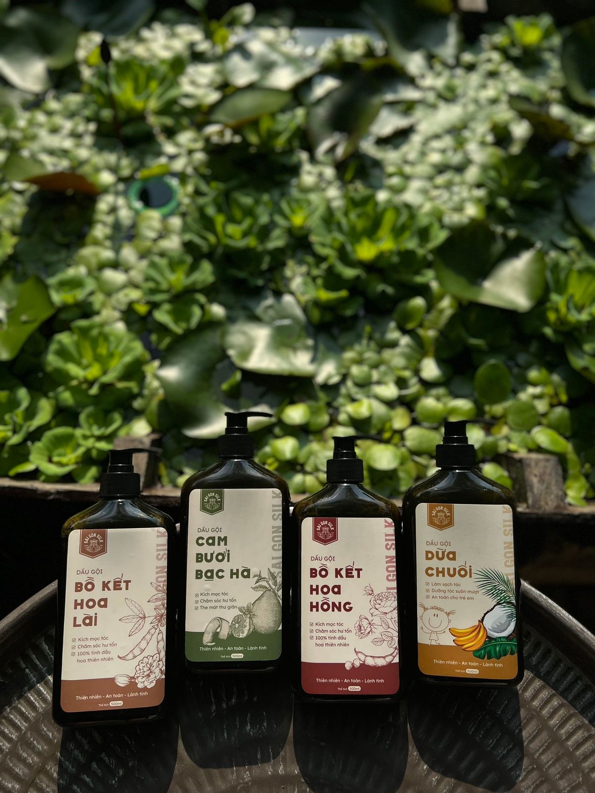 COMBO GỘI XẢ CAM BƯỞI BẠC HÀ COMBO GỘI XẢ CAM BƯỞI BẠC HÀ