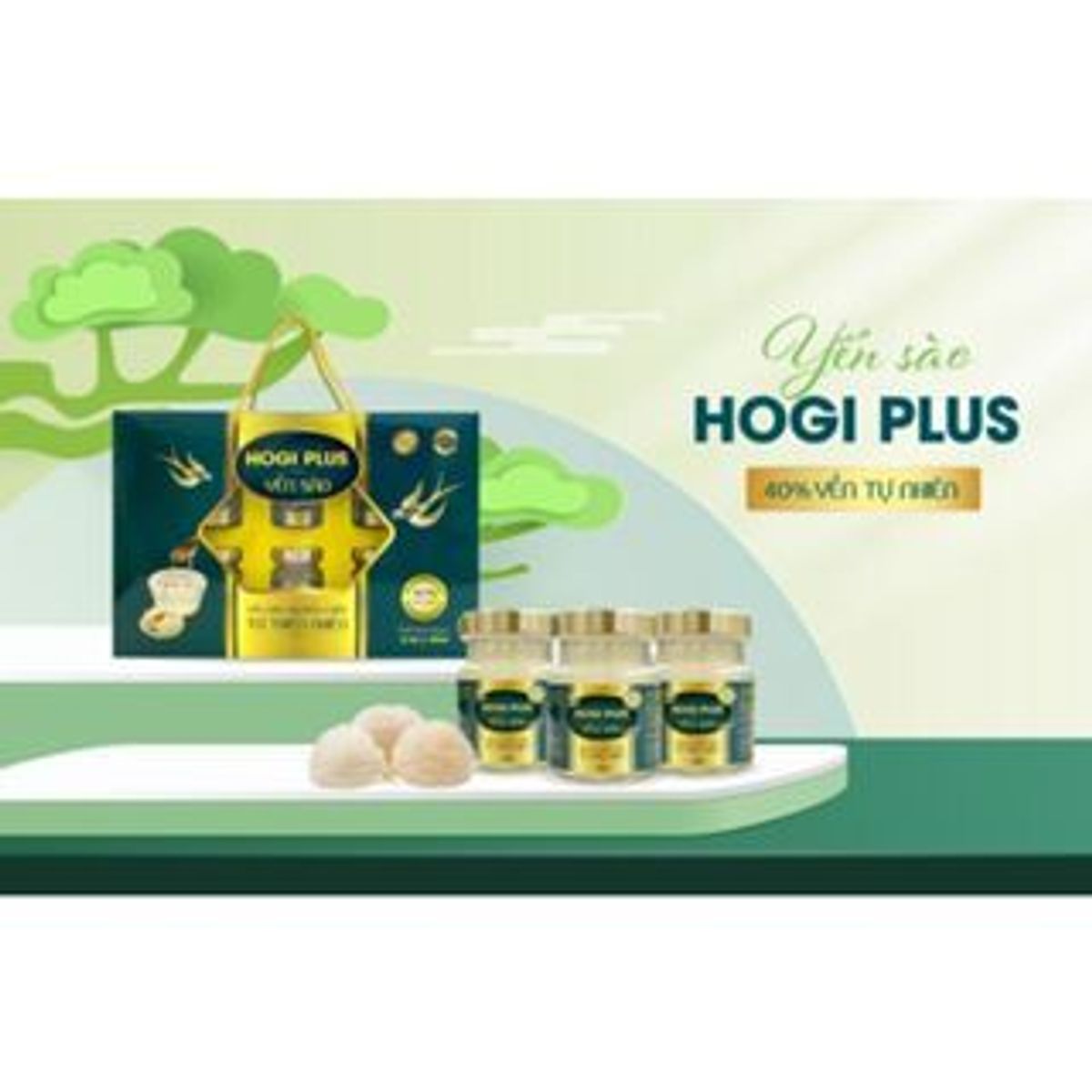 Yến sào nguyên chất HOGI Plus 40% yến Hộp 6 lọ x 70ml Yến sào nguyên chất HOGI Plus 40% yến Hộp 6 lọ x 70ml