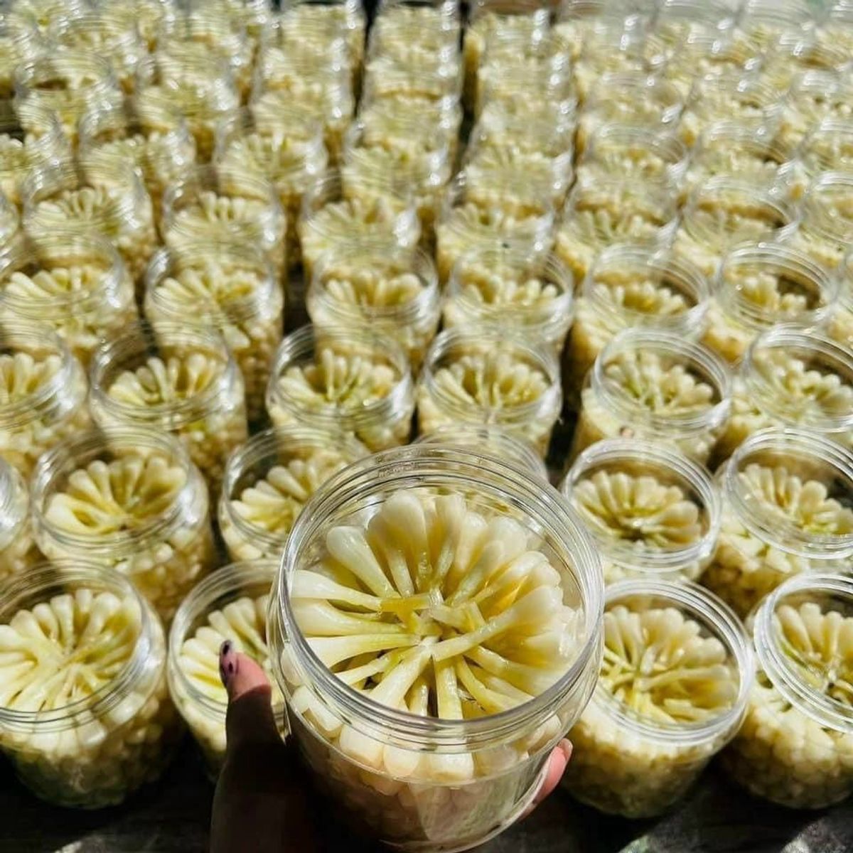CỦ KIỆU NGÂM ĐƯỜNG CHUA NGỌT NHIỀU KIỆU CHUẨN NGON 800G - WINNIE HOUSE CỦ KIỆU NGÂM ĐƯỜNG CHUA NGỌT NHIỀU KIỆU CHUẨN NGON 800G - WINNIE HOUSE