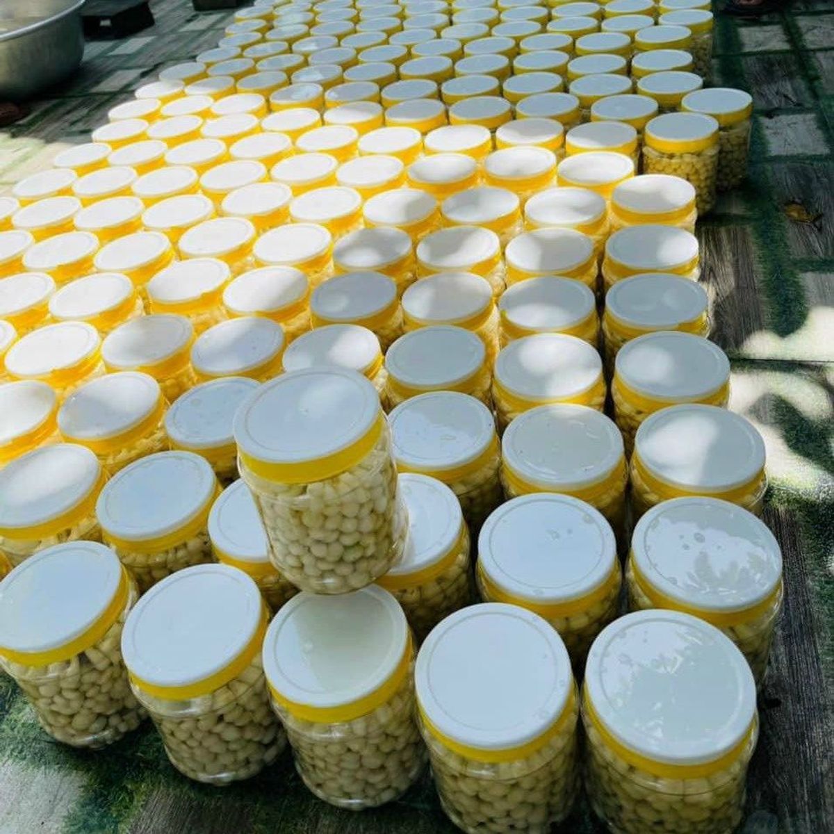 CỦ KIỆU NGÂM ĐƯỜNG CHUA NGỌT NHIỀU KIỆU CHUẨN NGON 800G - WINNIE HOUSE CỦ KIỆU NGÂM ĐƯỜNG CHUA NGỌT NHIỀU KIỆU CHUẨN NGON 800G - WINNIE HOUSE