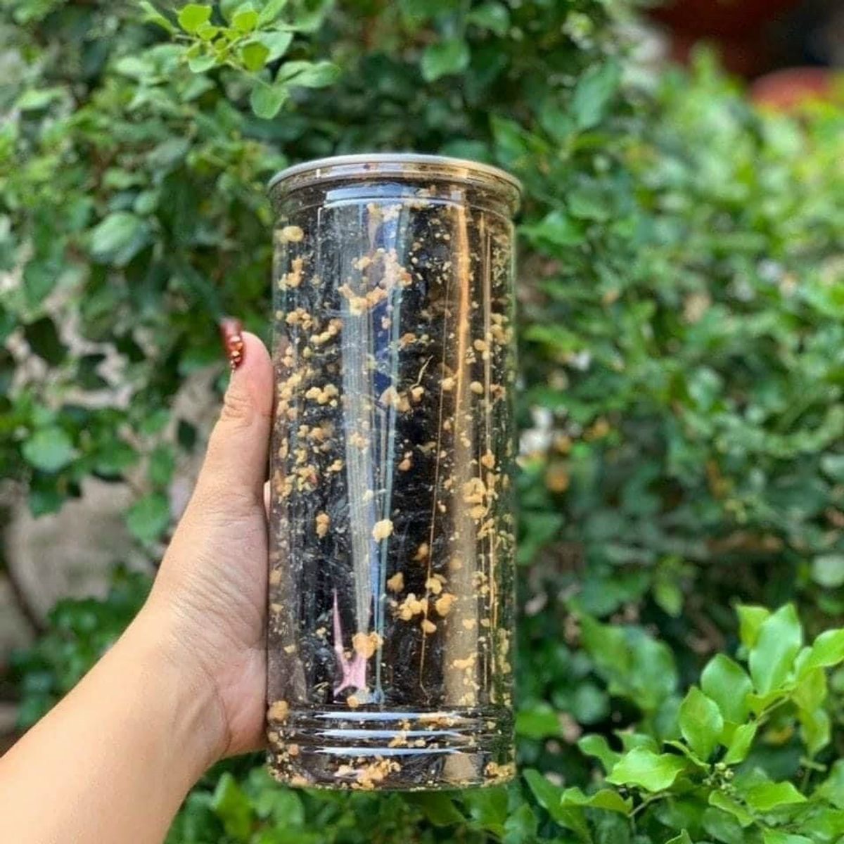 RONG BIỂN CHÁY TỎI THƠM NGON 200G - WINNIE HOUSE RONG BIỂN CHÁY TỎI THƠM NGON 200G - WINNIE HOUSE