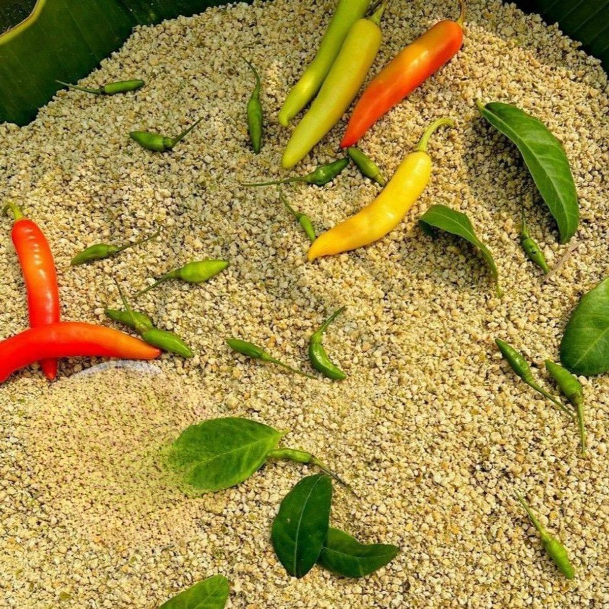 MUỐI ỚT XIÊM XANH RANG SIÊU CAY 250G - WINNIE HOUSE MUỐI ỚT XIÊM XANH RANG SIÊU CAY 250G - WINNIE HOUSE