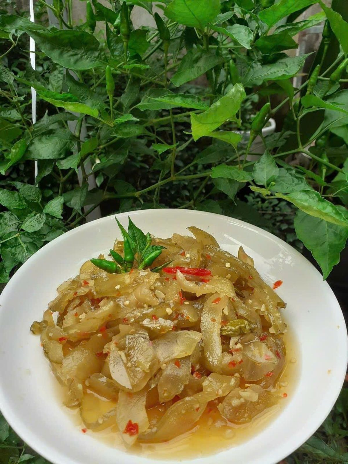 MẮM DƯA GANG MIX DƯA CHUỘT TRỘN SẲN 500G - WINNIE HOUSE MẮM DƯA GANG MIX DƯA CHUỘT TRỘN SẲN 500G - WINNIE HOUSE