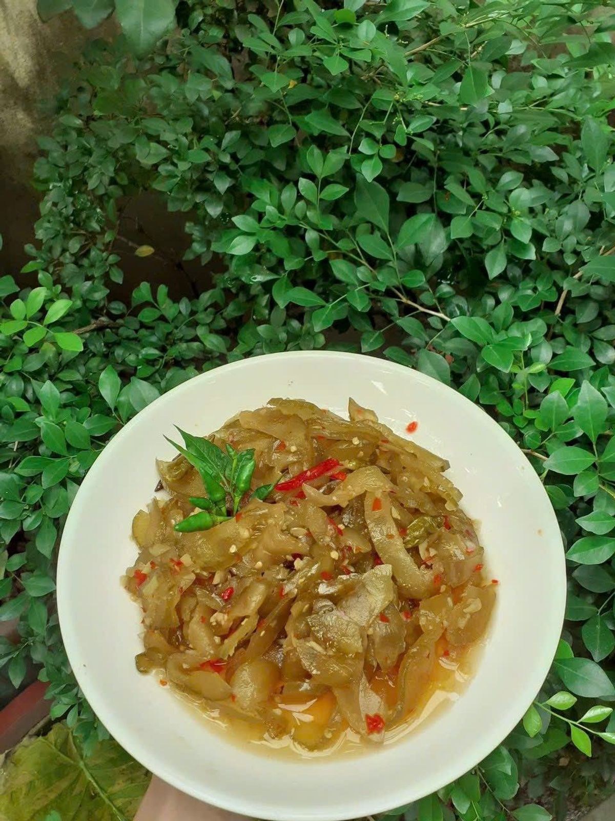 MẮM DƯA GANG MIX DƯA CHUỘT TRỘN SẲN 500G - WINNIE HOUSE MẮM DƯA GANG MIX DƯA CHUỘT TRỘN SẲN 500G - WINNIE HOUSE
