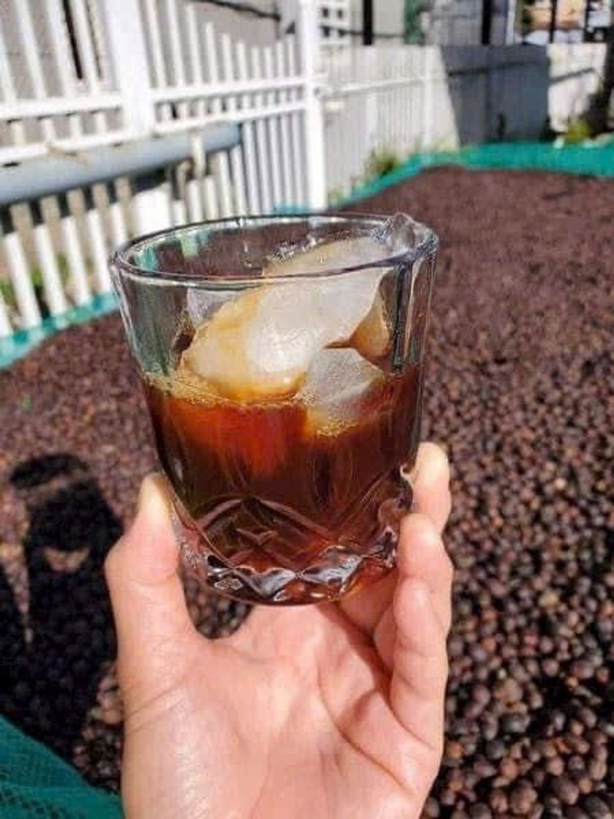CÀ PHÊ CHỒN TÂY NGUYÊN THƯỢNG HẠNG THƠM NGON CHUẨN VỊ 500G - WINNIE HOUSE CÀ PHÊ CHỒN TÂY NGUYÊN THƯỢNG HẠNG THƠM NGON CHUẨN VỊ 500G - WINNIE HOUSE
