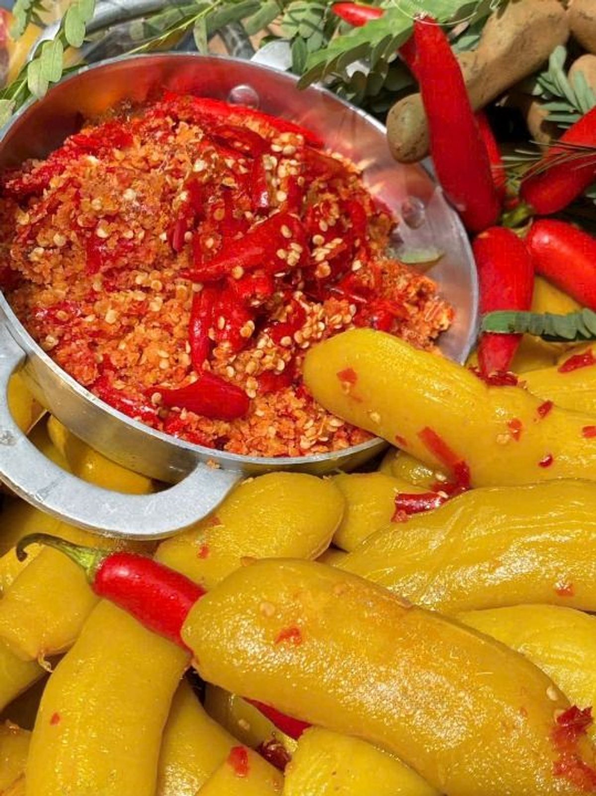 ME GIÒN MUỐI ỚT RIM, TRẢI NGHIỆM KHÔNG THỂ BỎ LỠ 500G - WINNIE HOUSE ME GIÒN MUỐI ỚT RIM, TRẢI NGHIỆM KHÔNG THỂ BỎ LỠ 500G - WINNIE HOUSE