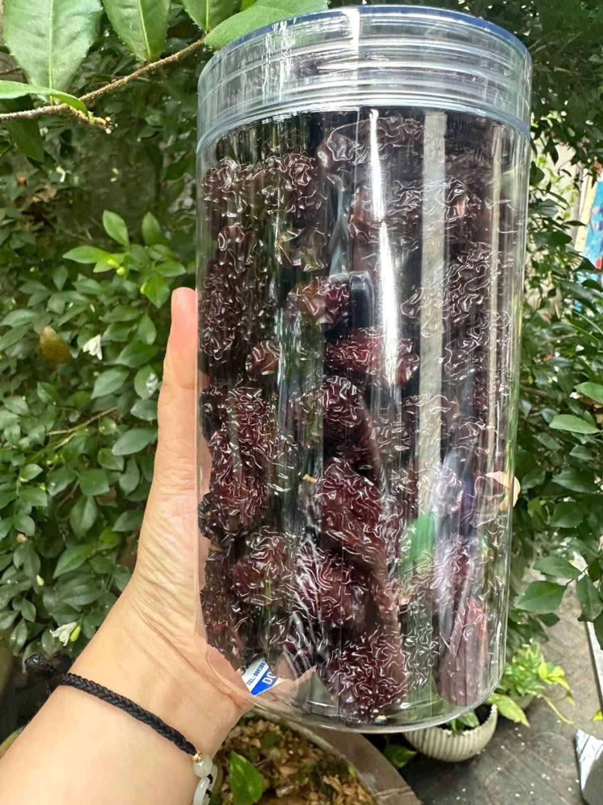TÁO TÀU ĐEN SẤY KHÔ LOẠI NGON RẤT TỐT CHO SỨC KHỎE 500G - WINNIE HOUSE TÁO TÀU ĐEN SẤY KHÔ LOẠI NGON RẤT TỐT CHO SỨC KHỎE 500G - WINNIE HOUSE