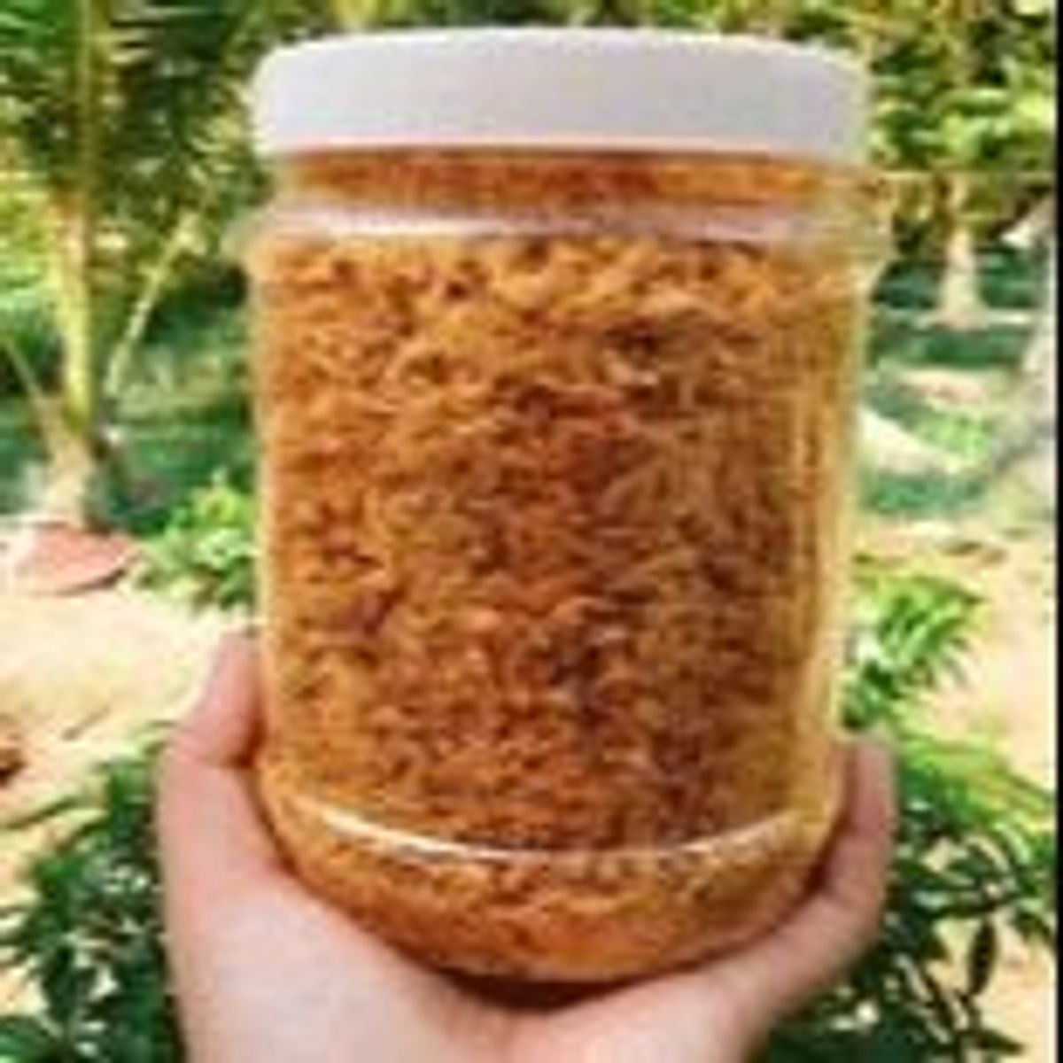 CHÀ BÔNG HEO NHÀ LÀM, RUỐC HEO 250G CTB586 - BECHIP CHÀ BÔNG HEO NHÀ LÀM, RUỐC HEO 250G CTB586 - BECHIP