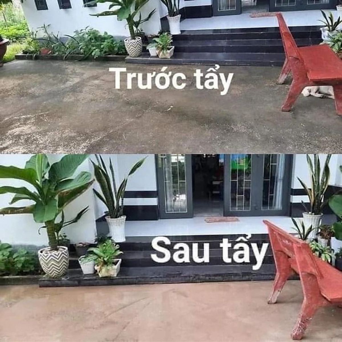 THUỐC DIỆT RONG, BỘT TẨY RONG RÊU NỀN GẠCH, XI MĂNG, TRẦN NHÀ, TƯỜNG NHÀ TÚI 500G CTB451 - BECHIP THUỐC DIỆT RONG, BỘT TẨY RONG RÊU NỀN GẠCH, XI MĂNG, TRẦN NHÀ, TƯỜNG NHÀ TÚI 500G CTB451 - BECHIP
