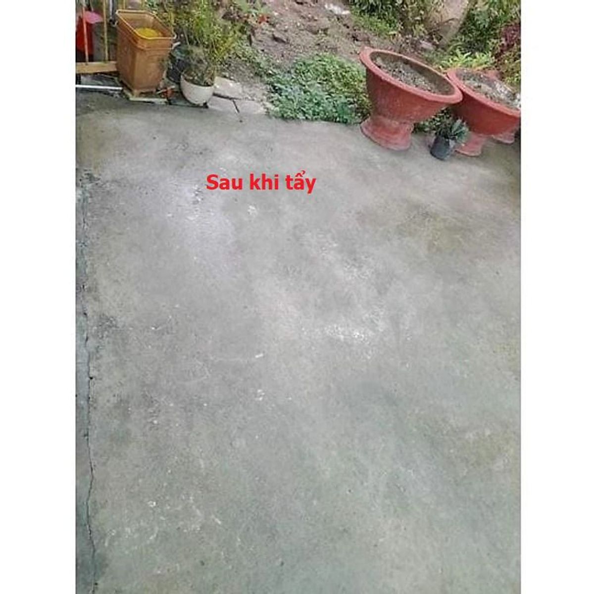 THUỐC DIỆT RONG, BỘT TẨY RONG RÊU NỀN GẠCH, XI MĂNG, TRẦN NHÀ, TƯỜNG NHÀ TÚI 500G CTB451 - BECHIP THUỐC DIỆT RONG, BỘT TẨY RONG RÊU NỀN GẠCH, XI MĂNG, TRẦN NHÀ, TƯỜNG NHÀ TÚI 500G CTB451 - BECHIP
