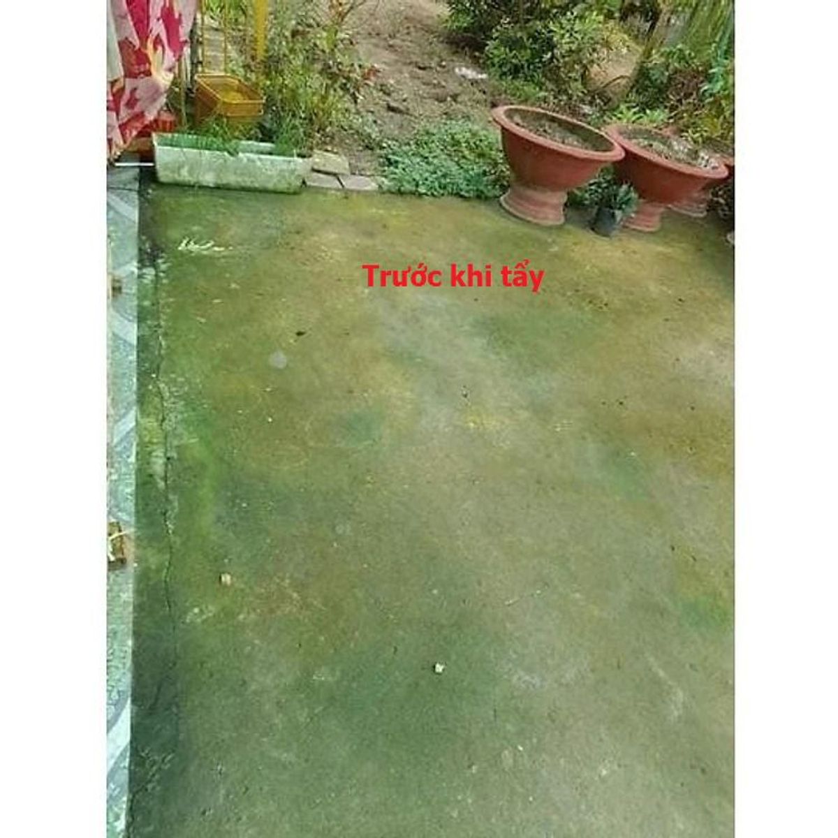 THUỐC DIỆT RONG, BỘT TẨY RONG RÊU NỀN GẠCH, XI MĂNG, TRẦN NHÀ, TƯỜNG NHÀ TÚI 500G CTB451 - BECHIP THUỐC DIỆT RONG, BỘT TẨY RONG RÊU NỀN GẠCH, XI MĂNG, TRẦN NHÀ, TƯỜNG NHÀ TÚI 500G CTB451 - BECHIP