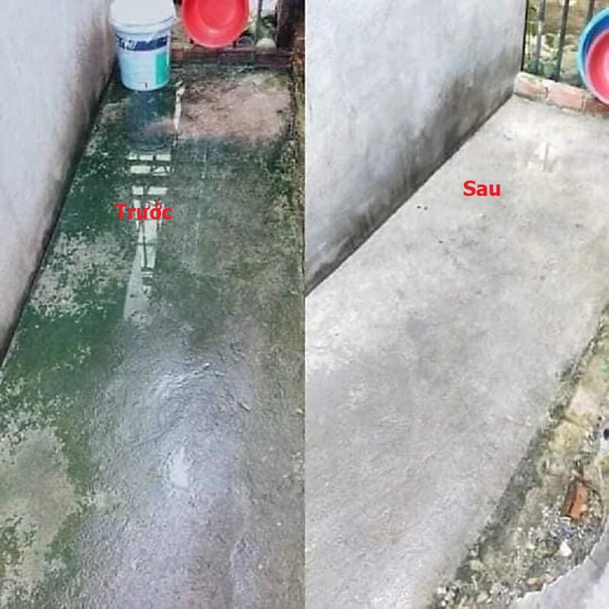 THUỐC DIỆT RONG, BỘT TẨY RONG RÊU NỀN GẠCH, XI MĂNG, TRẦN NHÀ, TƯỜNG NHÀ TÚI 500G CTB451 - BECHIP THUỐC DIỆT RONG, BỘT TẨY RONG RÊU NỀN GẠCH, XI MĂNG, TRẦN NHÀ, TƯỜNG NHÀ TÚI 500G CTB451 - BECHIP