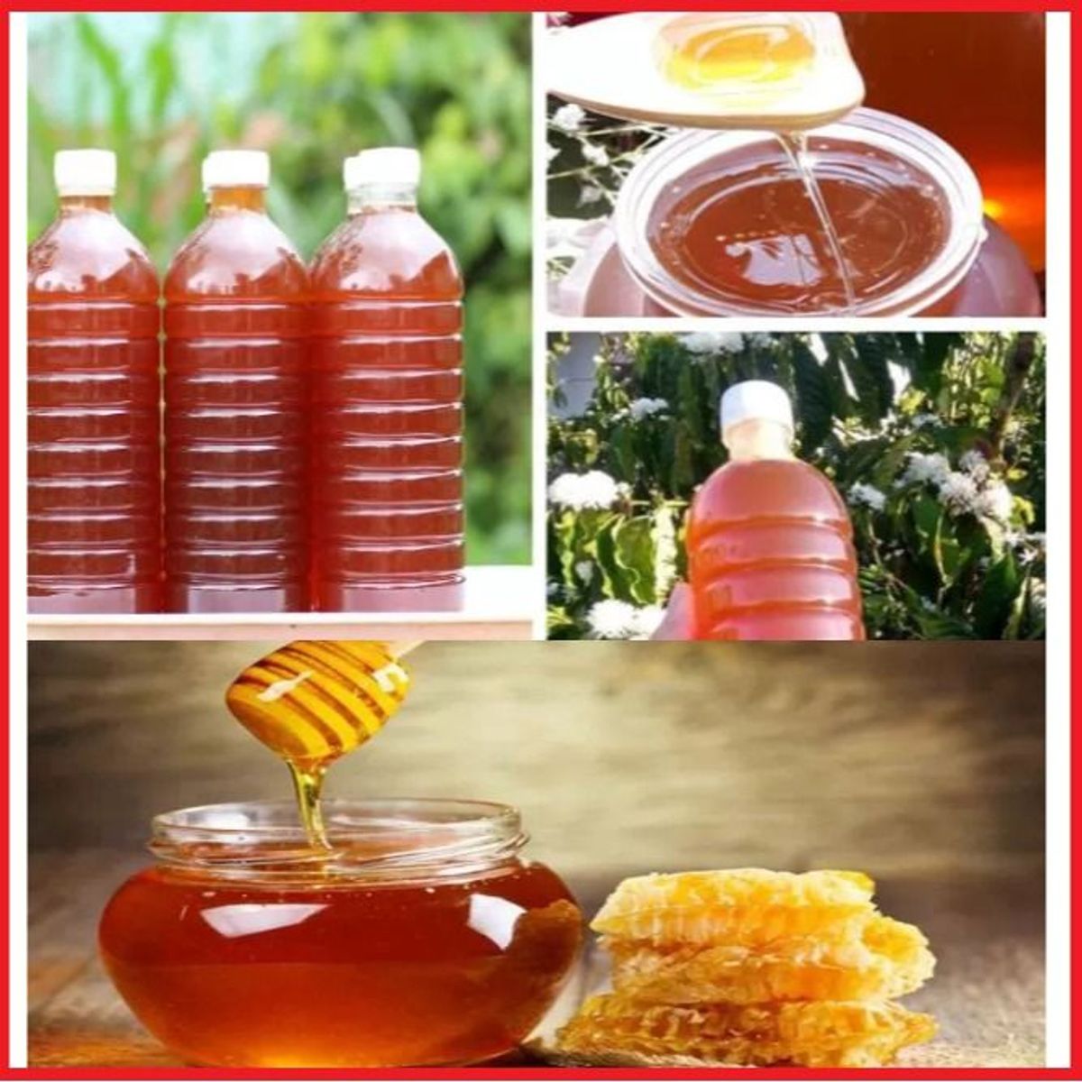 MẬT ONG HOA CÀ PHÊ ĐẮK LẮC NGUYÊN CHẤT 100% CHAI 1L CTB419 - BECHIP MẬT ONG HOA CÀ PHÊ ĐẮK LẮC NGUYÊN CHẤT 100% CHAI 1L CTB419 - BECHIP
