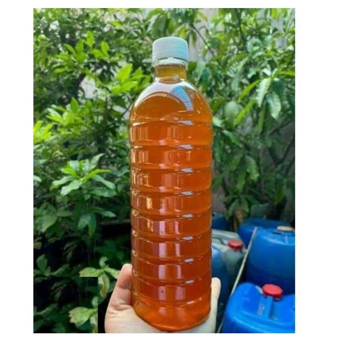 MẬT ONG HOA CÀ PHÊ ĐẮK LẮC NGUYÊN CHẤT 100% CHAI 1L CTB419 - BECHIP MẬT ONG HOA CÀ PHÊ ĐẮK LẮC NGUYÊN CHẤT 100% CHAI 1L CTB419 - BECHIP