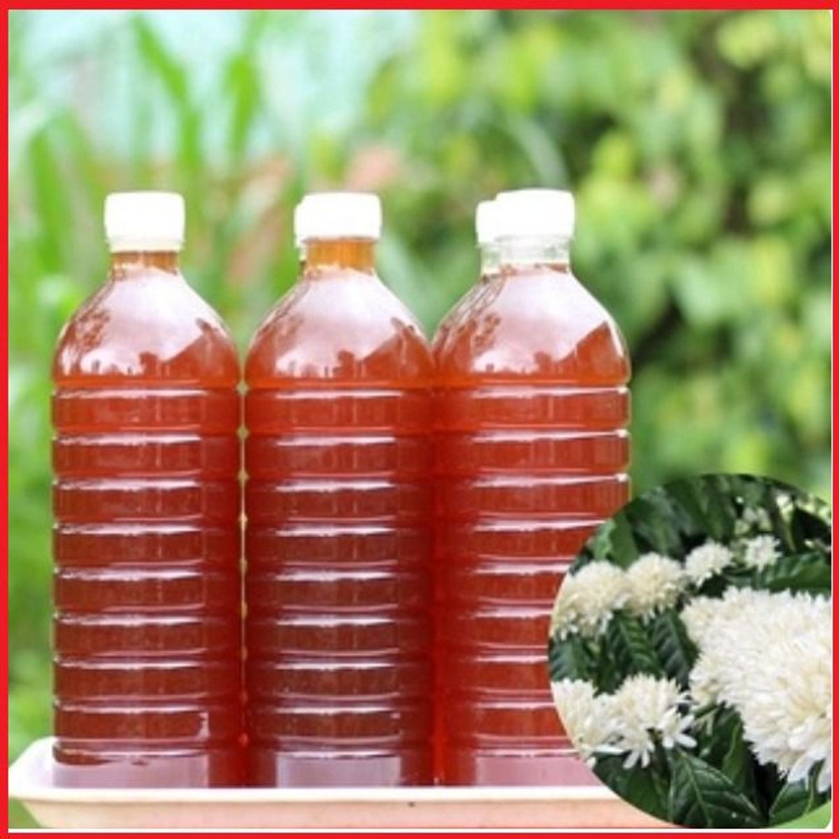 MẬT ONG HOA CÀ PHÊ ĐẮK LẮC NGUYÊN CHẤT 100% CHAI 1L CTB419 - BECHIP MẬT ONG HOA CÀ PHÊ ĐẮK LẮC NGUYÊN CHẤT 100% CHAI 1L CTB419 - BECHIP