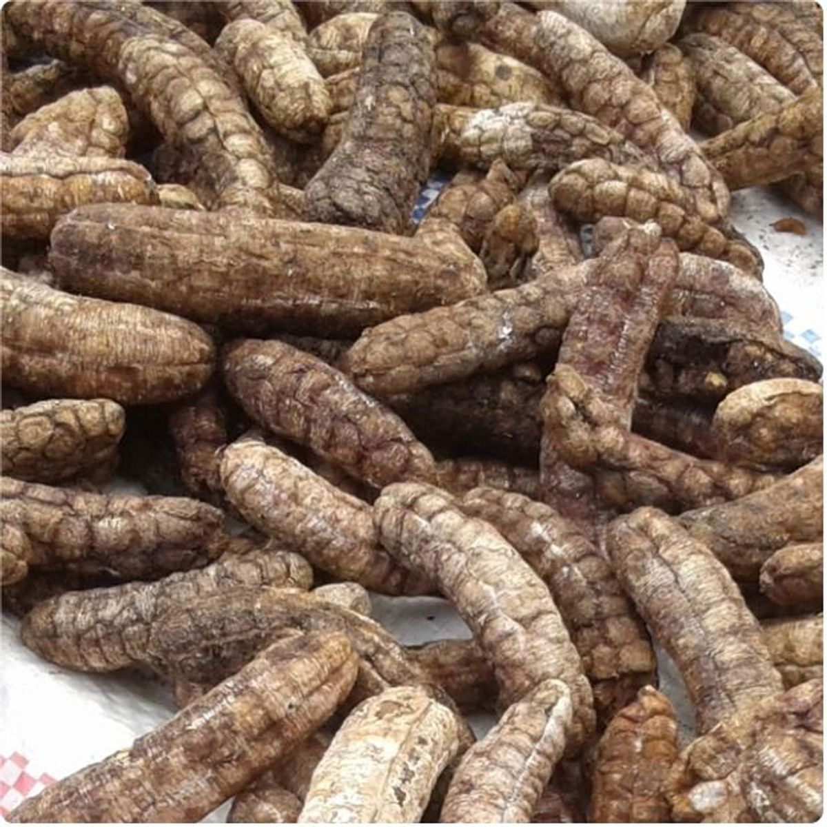 CHUỐI HỘT RỪNG TÂY NGUYÊN GOI 1KG CTB38 - BECHIP CHUỐI HỘT RỪNG TÂY NGUYÊN GOI 1KG CTB38 - BECHIP