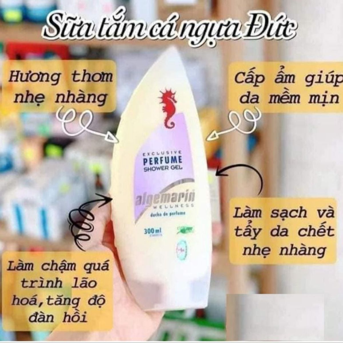 SỮA TẮM CÁ NGỰA PERFUME 300ML HÀNG CHUẨN CÓ TEM NHẬP KHẨU CTB250 - ALGEMARIN SỮA TẮM CÁ NGỰA PERFUME 300ML HÀNG CHUẨN CÓ TEM NHẬP KHẨU CTB250 - ALGEMARIN