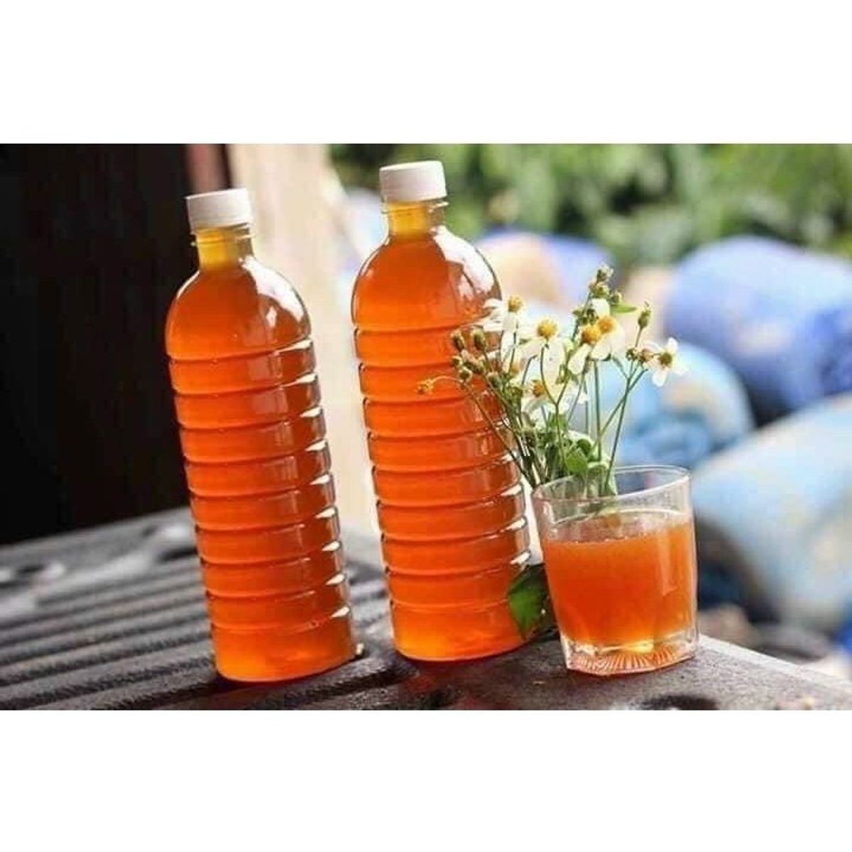 Mật Ong hoa cafe chai 1Lit Mật Ong hoa cafe chai 1Lit