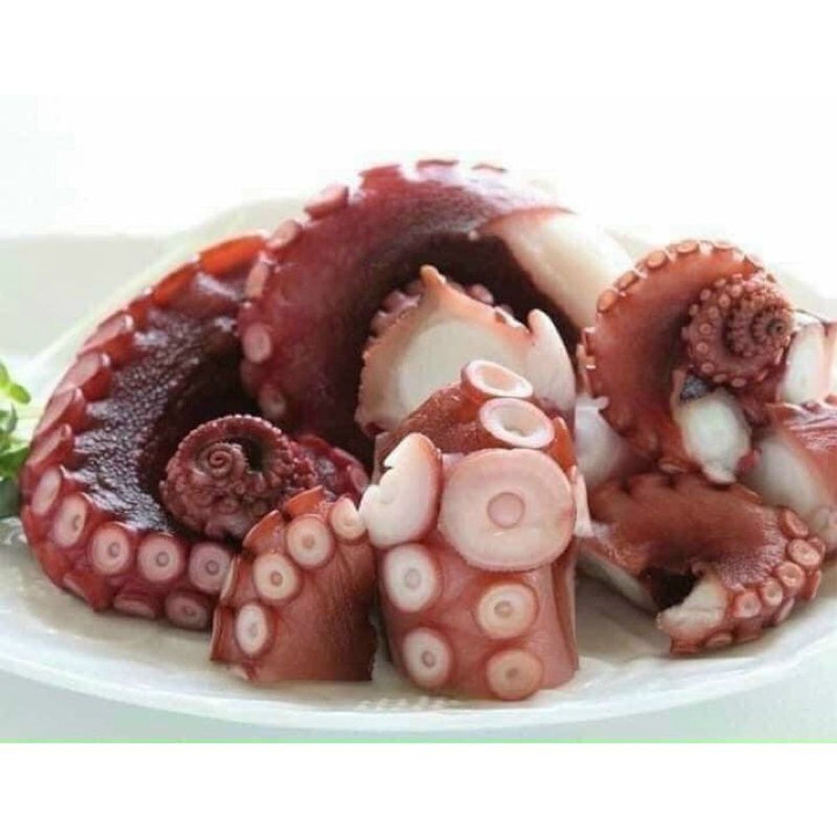 Râu bạch tuột Nhật giòn dai 1kg net 6 (giao hỏa tốc TPHCM) Râu bạch tuột Nhật giòn dai 1kg net 6 (giao hỏa tốc TPHCM)
