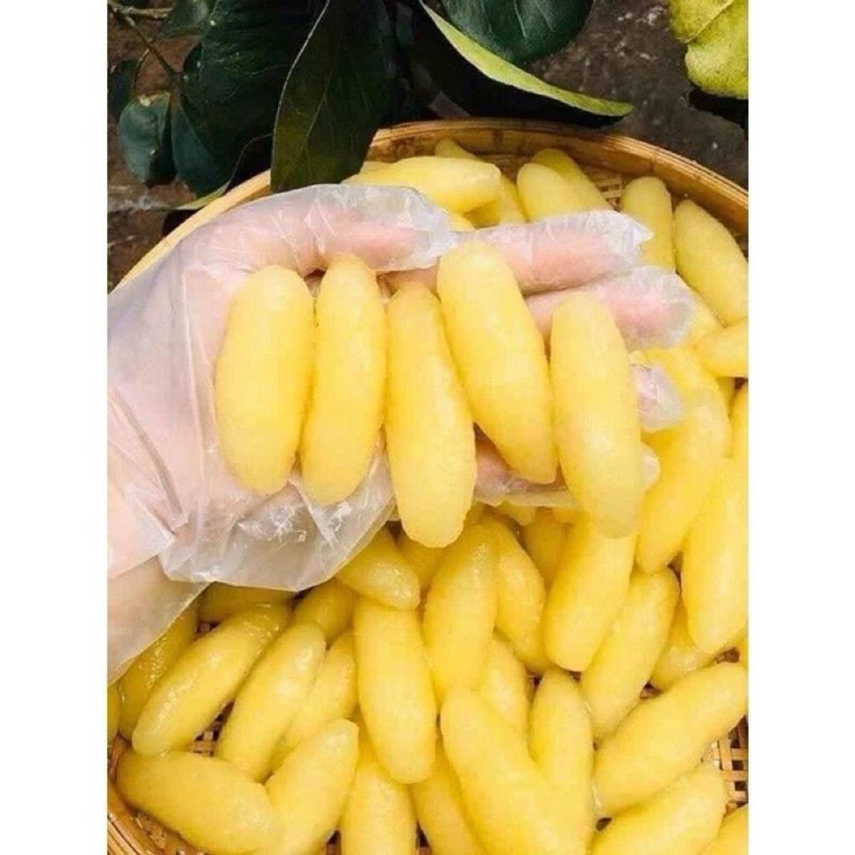 Khoai Mì Dẻo Kén mài nhuyễn hấp sẵn 1kg (giao tphcm) Khoai Mì Dẻo Kén mài nhuyễn hấp sẵn 1kg (giao tphcm)
