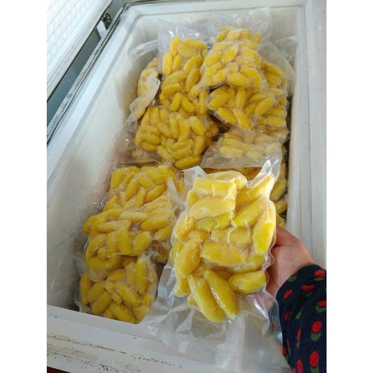 Khoai Mì Dẻo Kén mài nhuyễn hấp sẵn 1kg (giao tphcm) Khoai Mì Dẻo Kén mài nhuyễn hấp sẵn 1kg (giao tphcm)