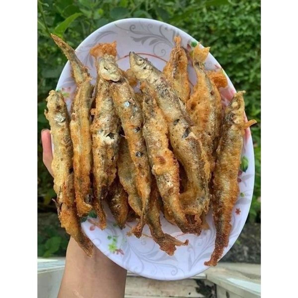 Cá trứng Nauy tươi ngon dinh dưỡng vỉ 500gr (giao hỏa tốc TPHCM) Cá trứng Nauy tươi ngon dinh dưỡng vỉ 500gr (giao hỏa tốc TPHCM)