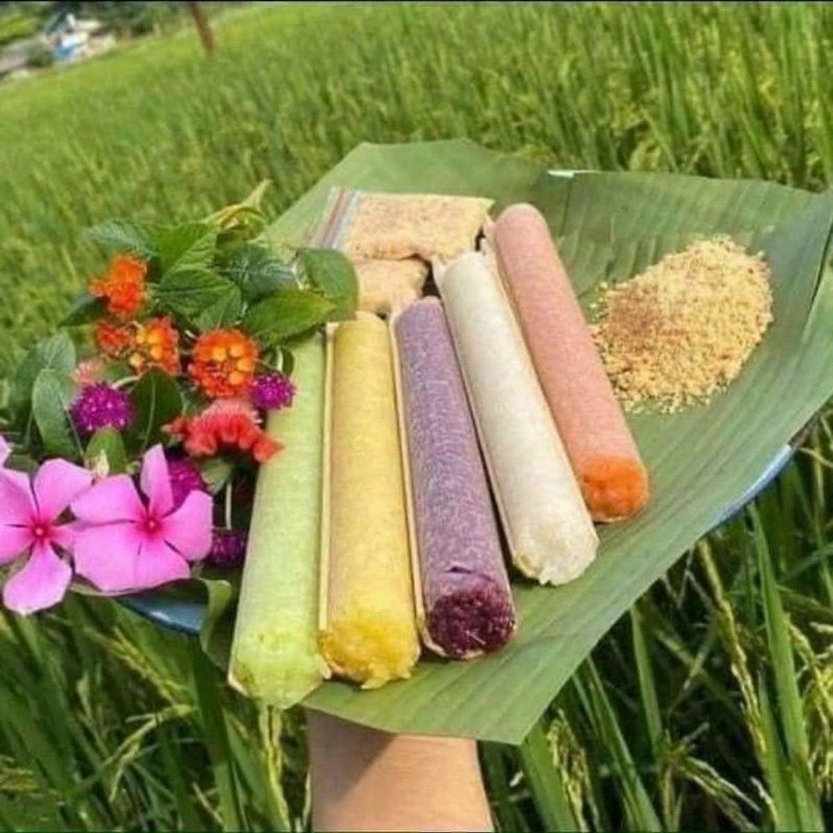 Set 5 ống cơm lam ngũ sắc Tây Bắc (giao hỏa tốc TPHCM) Set 5 ống cơm lam ngũ sắc Tây Bắc (giao hỏa tốc TPHCM)